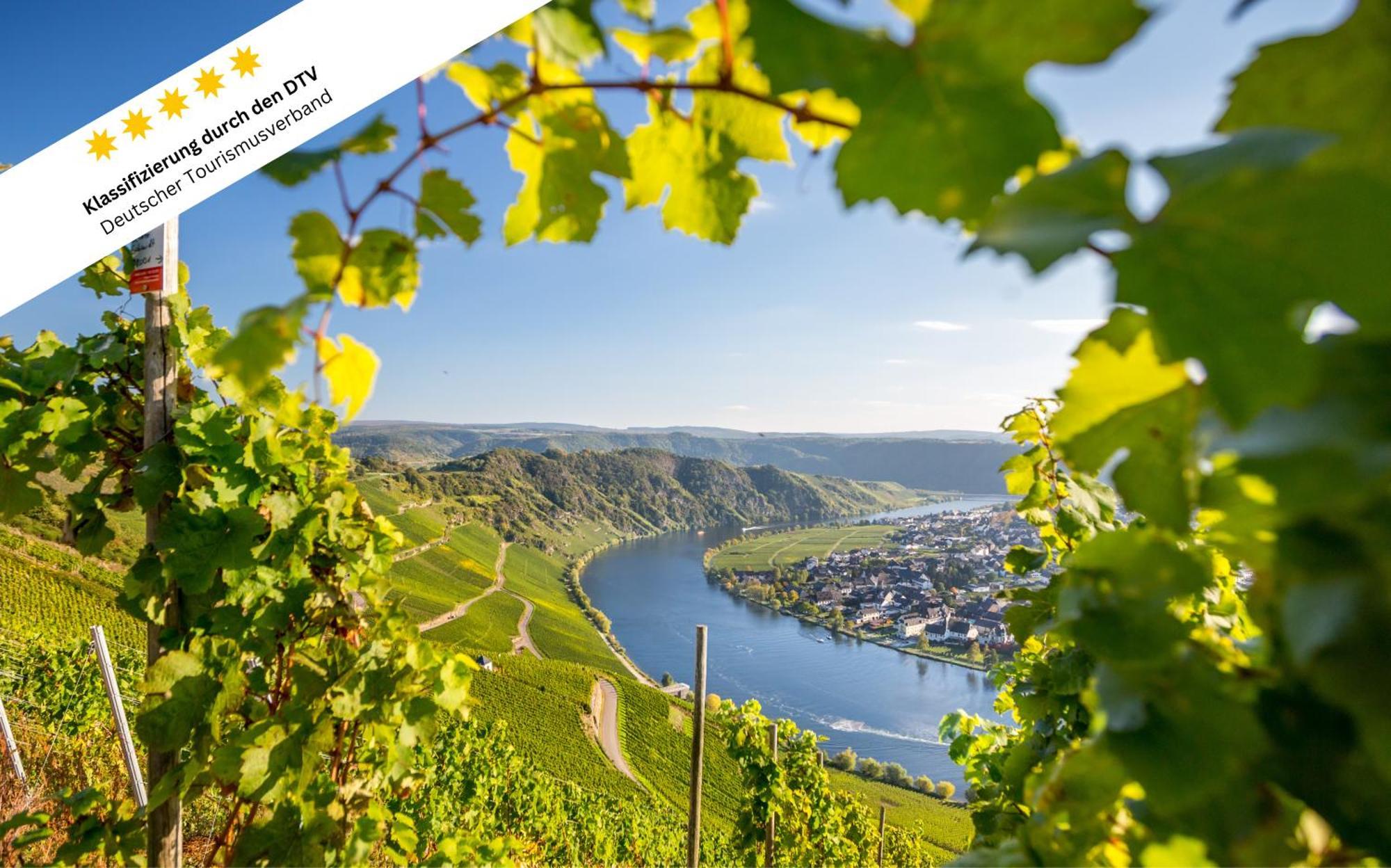 Wohlfuehloase An Der Mosel Apartment Osann-Monzel ภายนอก รูปภาพ